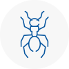 Ant Removals In Kimberley