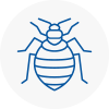 Bed Bug Extermination In Kimberley