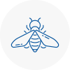 Bee Nest Removal Kimberley