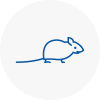 Mice Exterminators In Kimberley