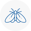 Moth Control Specialists In Kimberley