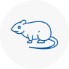 Rat Control Kimberley