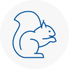 Kimberley Rodent Removals